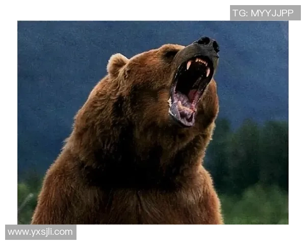 灰熊栖息地与行为习性探索:了解这位北美森林中的强大掠食者 灰熊栖息地与行为习性探索:了解这位北美森林中的强大掠食者